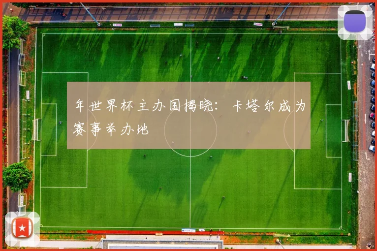 年世界杯主办国揭晓:卡塔尔成为赛事举办地